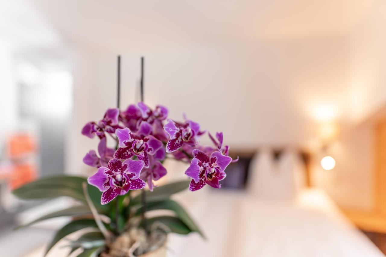 Wellnesshaus Reichelt Aparthotel Radstadt Luaran gambar