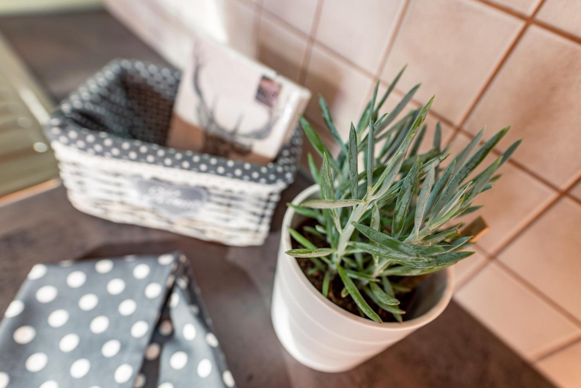 Wellnesshaus Reichelt Aparthotel Radstadt Bilik gambar
